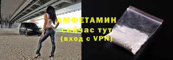 трава Коряжма