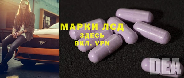 трава Коряжма