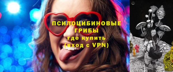 спиды Костерёво